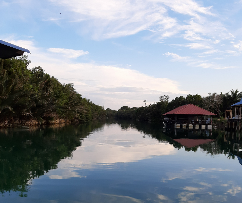 Sedili Wetland River Cruise