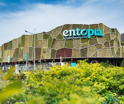 Hompton By The Beach, Penang | 2D1N | Entopia by Penang Butterfly Farm