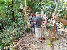 Load image into Gallery viewer, Rainforest Walking, Langkawi

