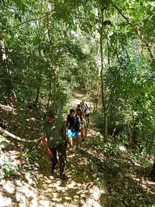 Rainforest Walking, Langkawi